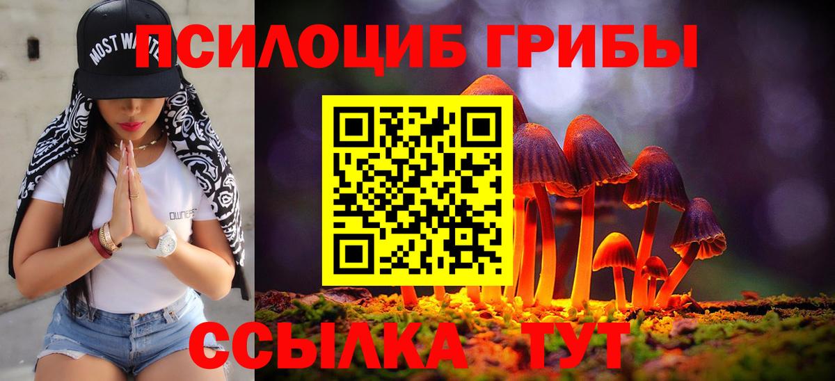 Галлюциногенные грибы Psilocybine cubensis Барнаул